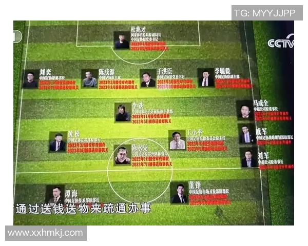 中国知名足球明星的成长历程与辉煌成就全面解析